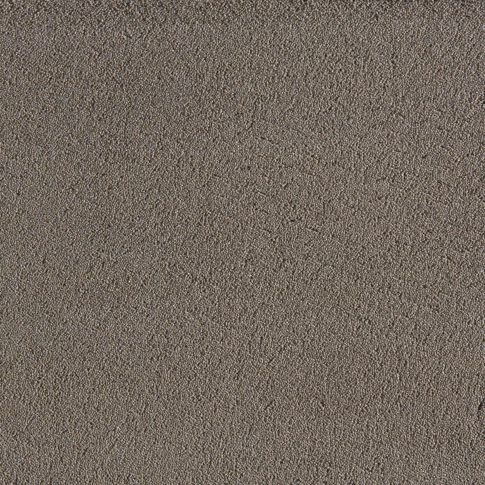 TEXTURE TAUPE